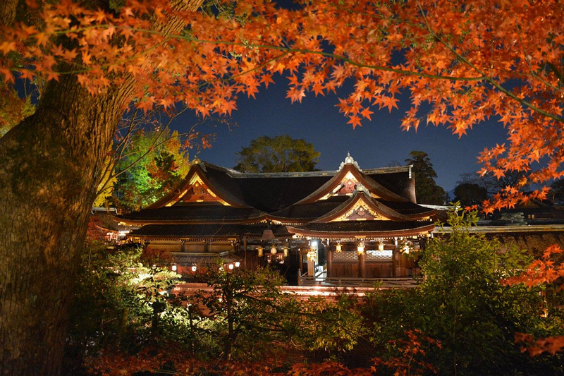 【京都楓葉景點】2024必去京都賞楓景點、紅葉時間情報＆行程