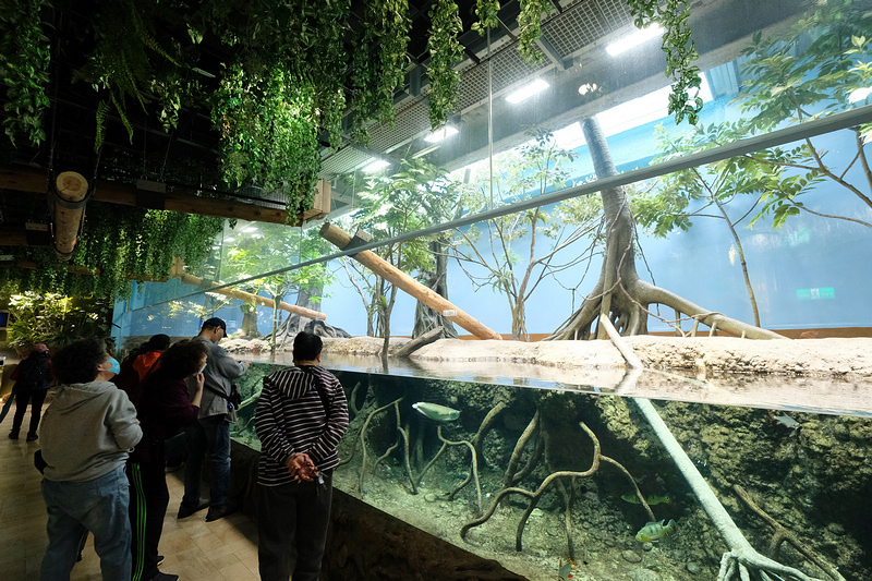 【桃園Xpark水族館】2024最新必看亮點、門票優惠、玩樂