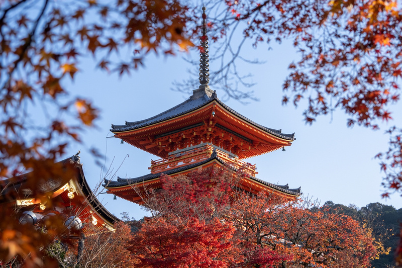 【京都楓葉景點】2024必去京都賞楓景點、紅葉時間情報＆行程