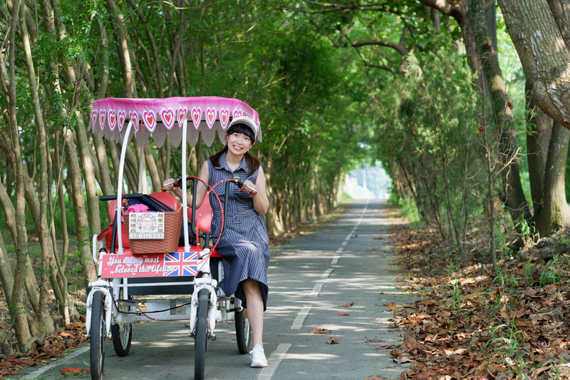 【高雄】橋頭糖廠：免門票！五分車、烤肉控窯、美食冰棒親子一日