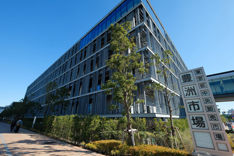 【豐洲市場必吃攻略】2024東京豐洲市場美食吃透透！壽司、豬