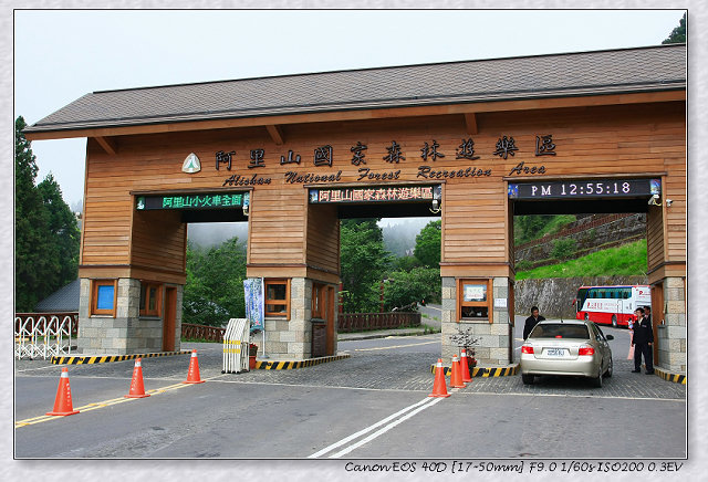 ［竹崎鄉］：看神木千變萬化☆阿里山國家森林