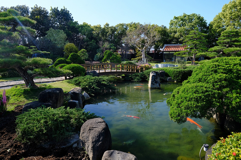 DSCF6559.JPG