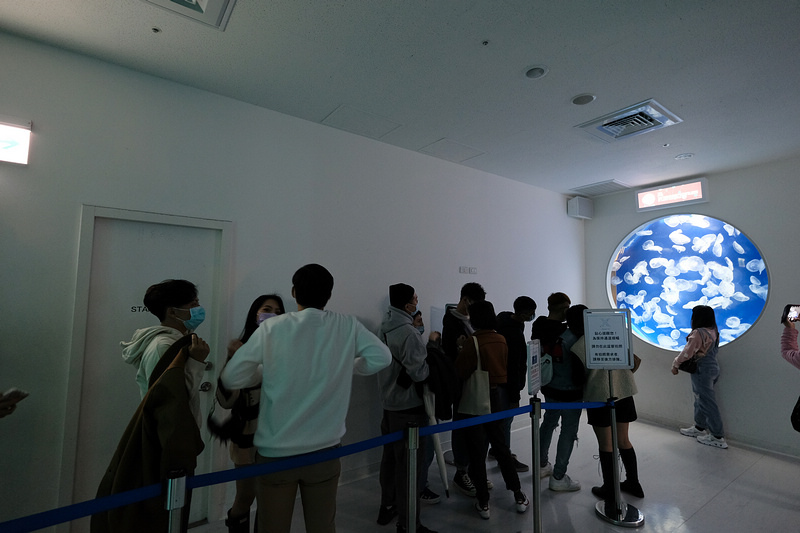 【桃園Xpark水族館】2024最新必看亮點、門票優惠、玩樂