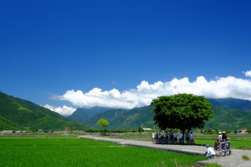 DSCF4253.jpg