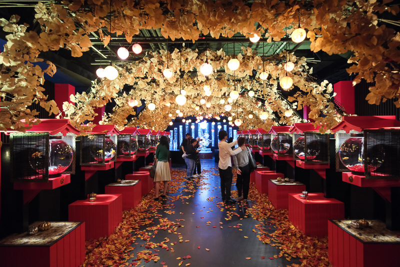 【東京】銀座藝術水族館Art Aquarium Museum