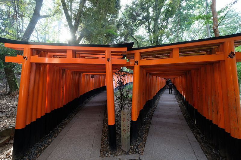 【京都】伏見稻荷大社：千本鳥居必看！狐狸御守、門票交通＆附近