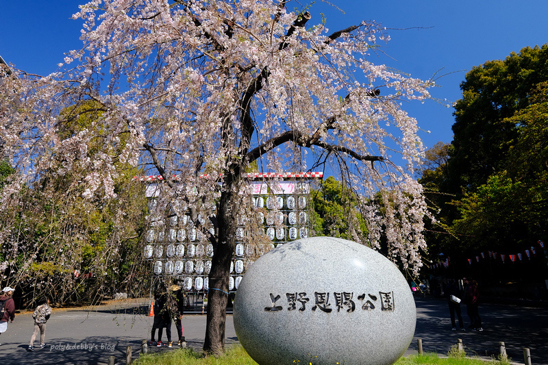 【東京上野公園】上野恩賜公園地圖攻略！櫻花楓葉＆交通美食必去
