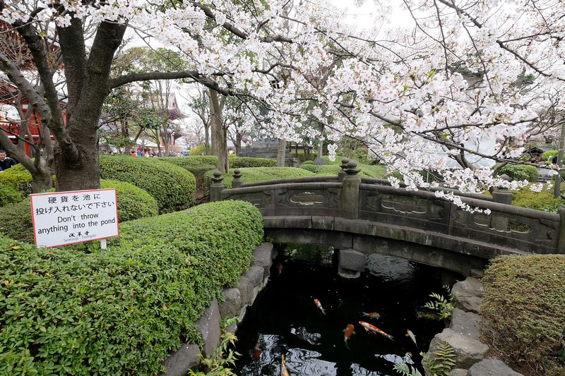 【東京】雷門淺草寺：東京最古老寺廟！籤御守和服＆附近美食景點