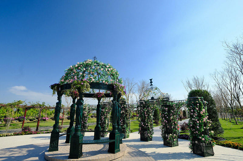 DSCF6528.JPG