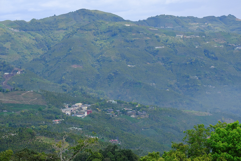 DSCF4142.JPG