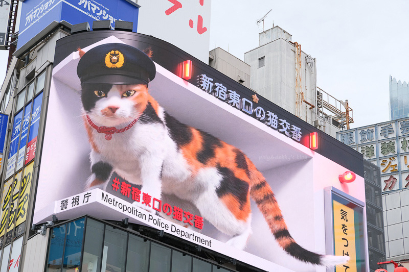 【新宿景點推薦】2024東京新宿一日遊行程！新宿御苑、歌舞伎