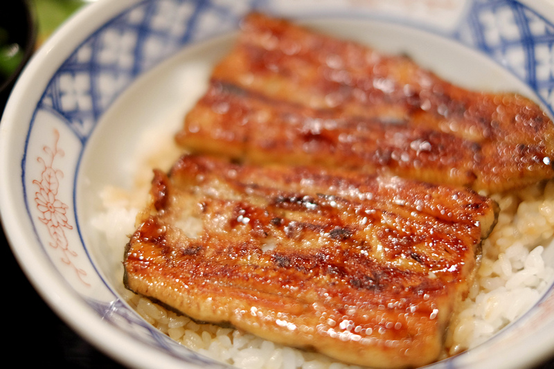 DSCF9106.jpg