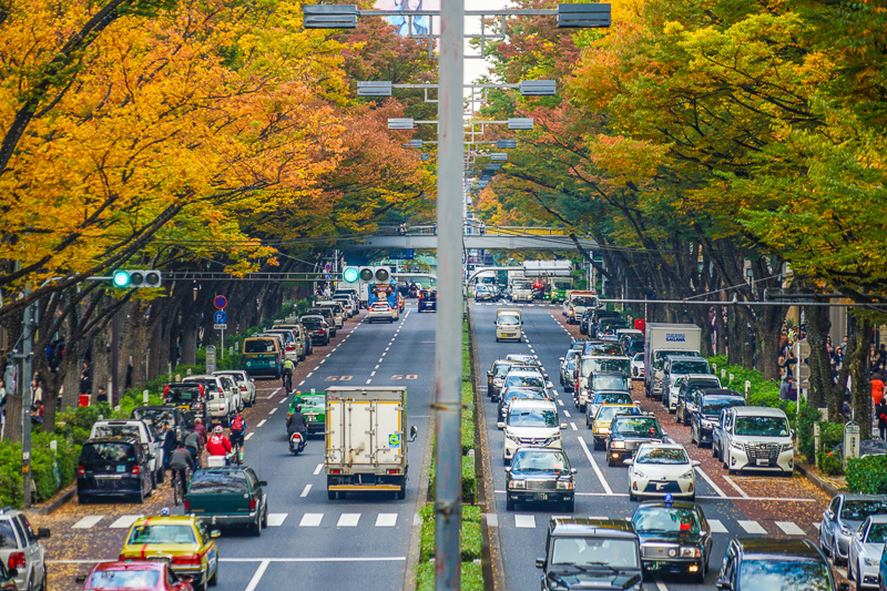 【2024表參道逛街攻略】東京時尚購物商圈！表參道必逛精品美