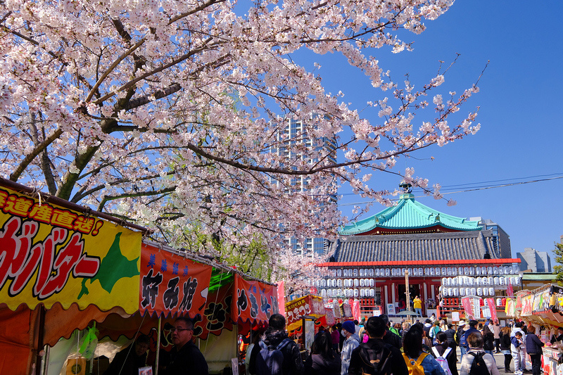 【東京上野公園】上野恩賜公園地圖攻略！櫻花楓葉＆交通美食必去