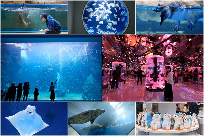 【2025 Xpark攻略】桃園Xpark水族館：必看重點、美食餐廳＆門票停車彙整