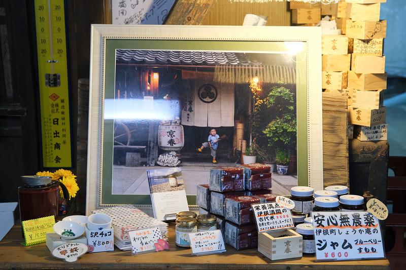 【京都】伊根舟屋：日本威尼斯美譽！搭船餵海鷗、交通＆附近景點