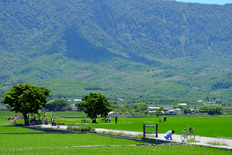 DSCF4261.jpg