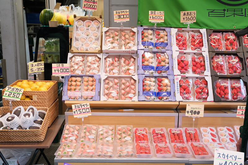 【東京上野】阿美橫町：最夯美食藥妝、交通＆必買必吃逛街地圖全