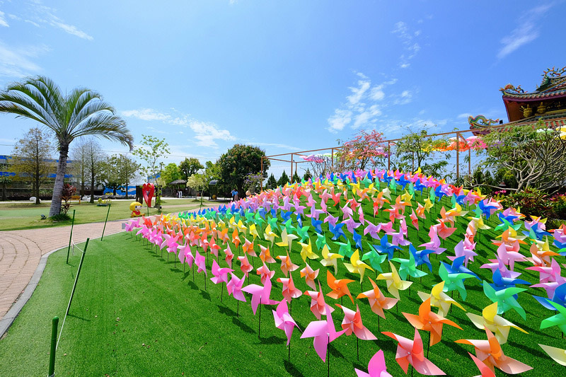 DSCF8646.JPG
