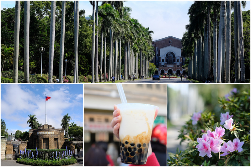 台灣大學景點